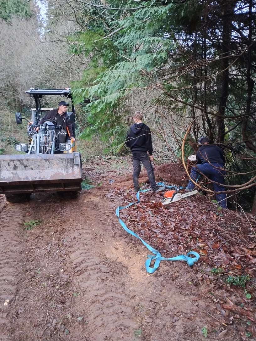 Mobirise Website Builder